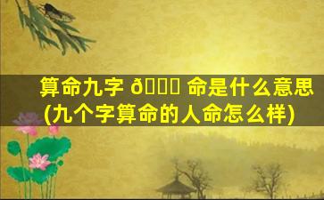 算命九字 🍁 命是什么意思(九个字算命的人命怎么样)